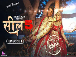 SEAL series episode 1 - desi porn