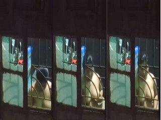 Indian girl's boobs in a sex vid