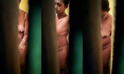 Desi amateur bahbhi captue sex